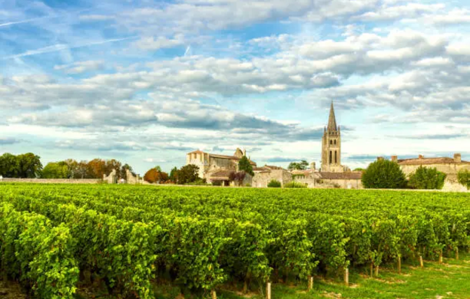 2025 Bordeaux Wine Festivals You Must Experience