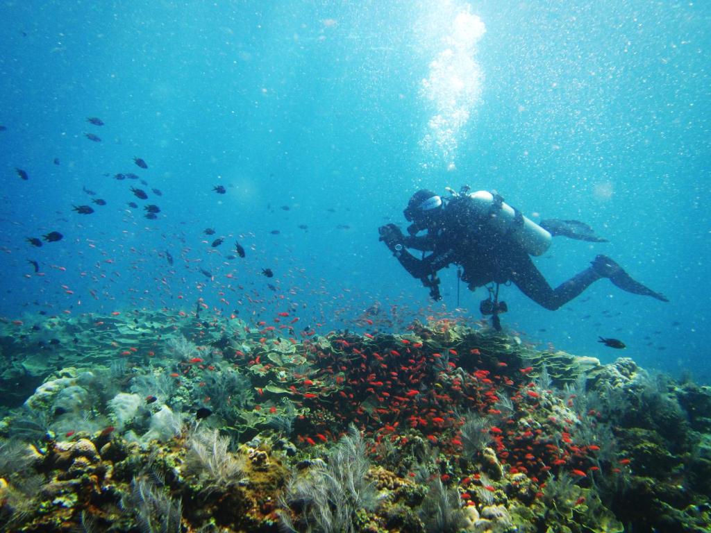 Amed Lodge by Sudamala Resorts