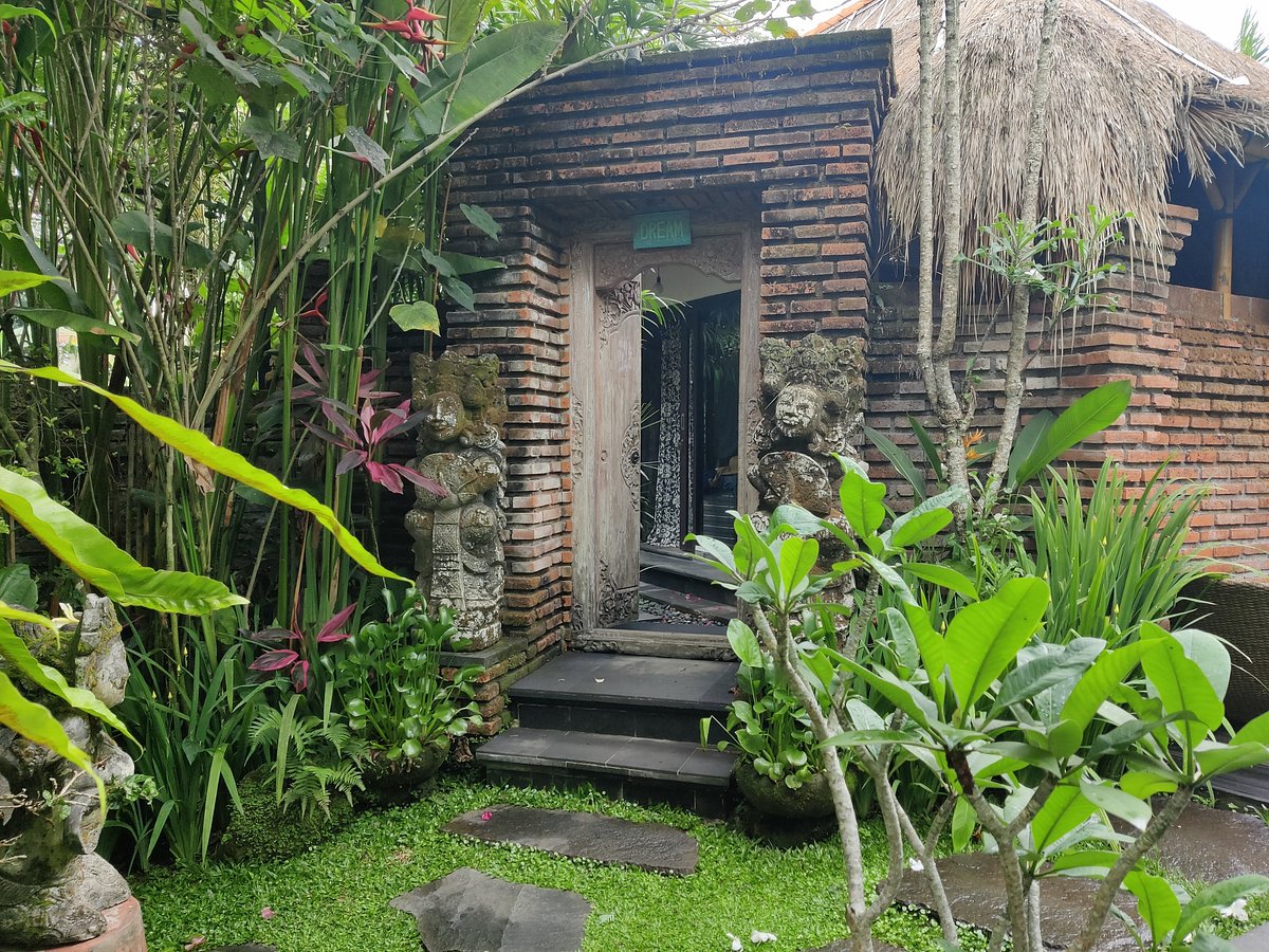 Imagine Bali