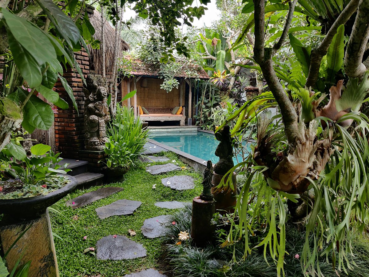 Imagine Bali