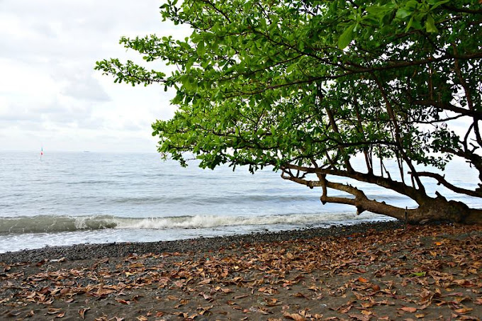 Devi's Place (ubud And Tejakula)