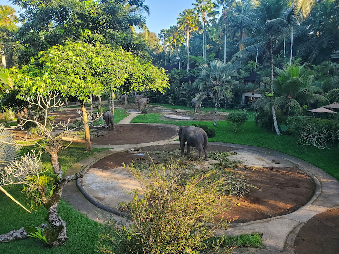 Mason Elephant Park Lodge