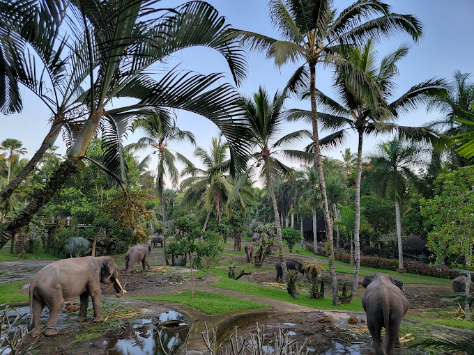 Mason Elephant Park Lodge