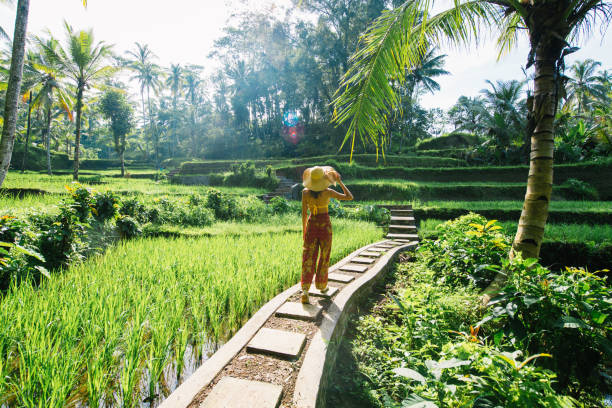 Best Ubud Tours for Scenic Views and Bali Experiences