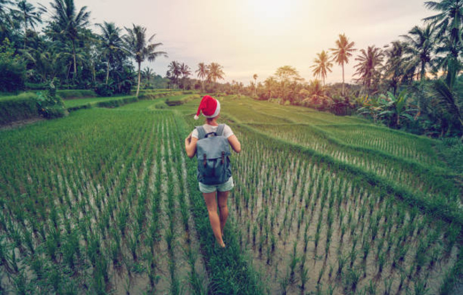 Christmas in Bali: A Tropical Paradise Celebration