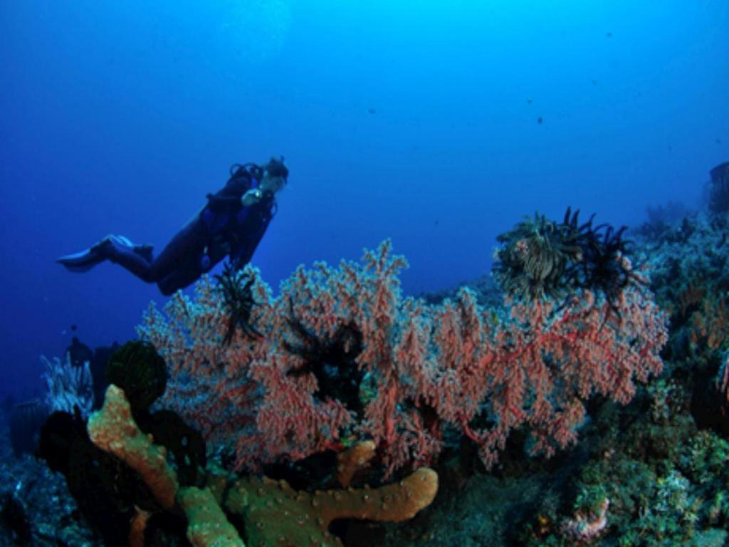 Tulamben Wreck Divers Hotel