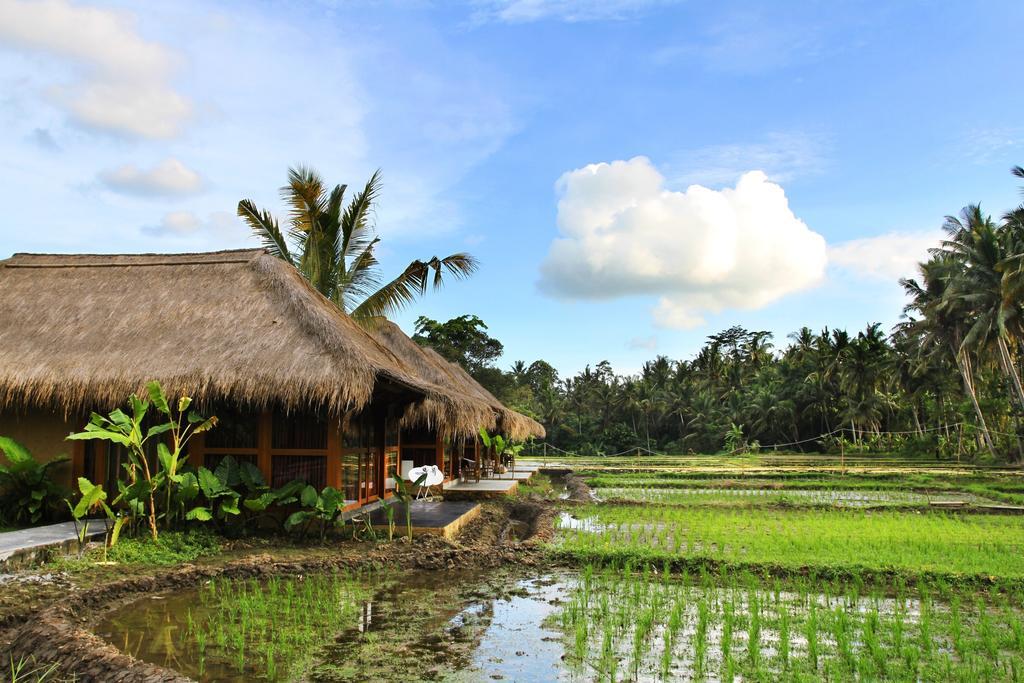 Sapulidi Resort Spa & Gallery Ubud