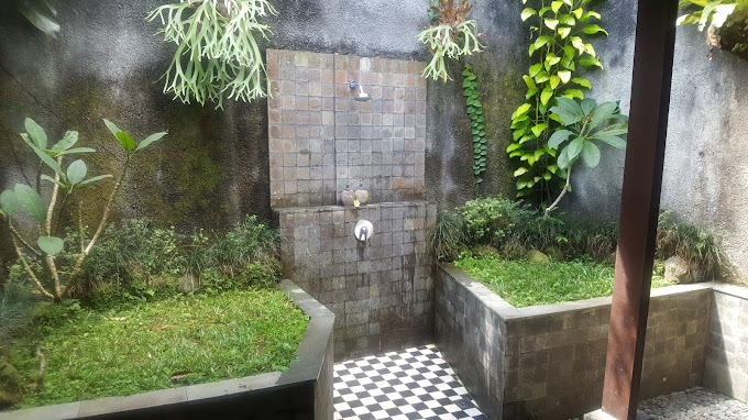 DD Ubud Jungle Villa