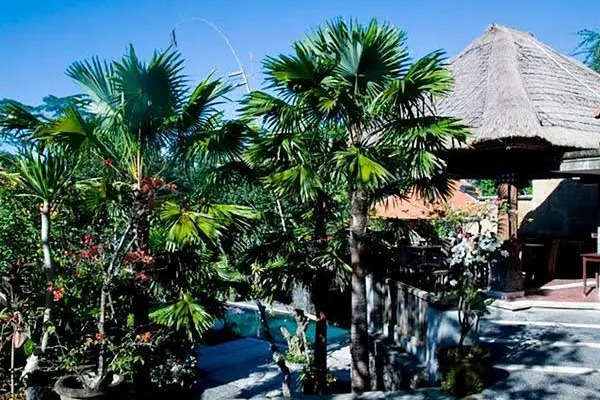  Abing Terrace Resort