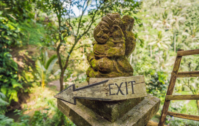 Best Things to Do in Bali Indonesia for Every Traveler