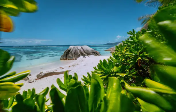 Seychelles Ranked Among World’s Top 5 Honeymoon Destinations in 2025