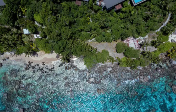 The Rise of Boutique Eco-Lodges in Seychelles