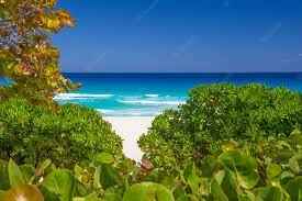 surrounded beautiful beaches and green vegetation