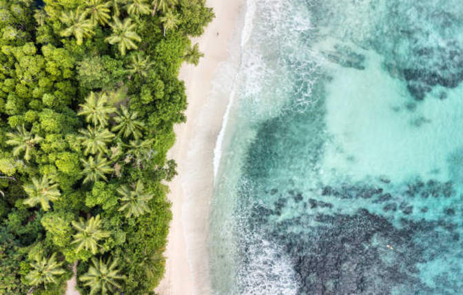 Seychelles Beach Paradise: Explore Stunning Shores