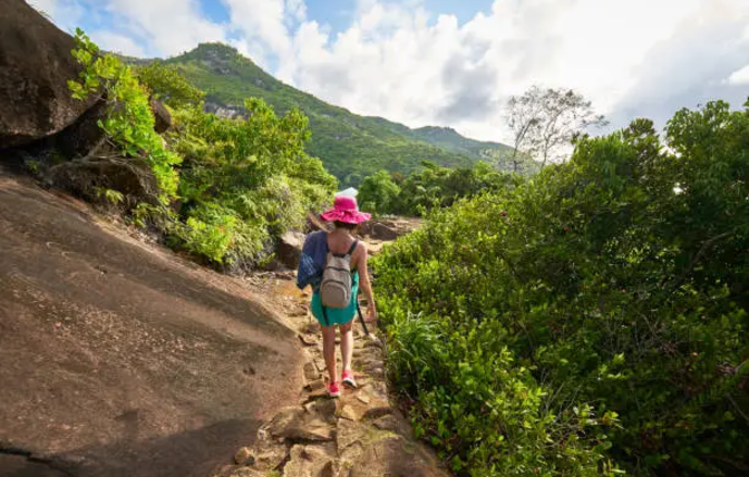 Top Hiking Trails to Explore in Seychelles