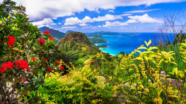Seychelles Tour Packages for a Perfect Island Getaway