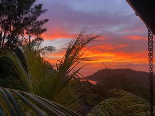 waterfall accomodation